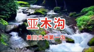 胡保华:0.4毫米刀尖上的“舞者”(科技尖兵在周口)