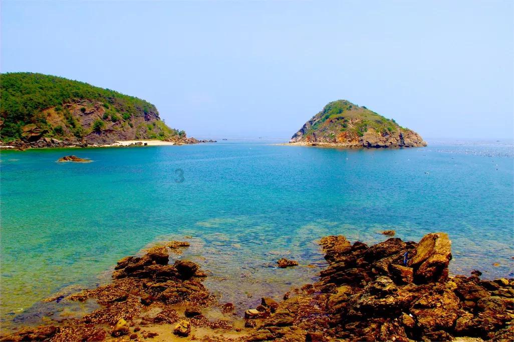 河南文旅大火，豫酒怎么样了？